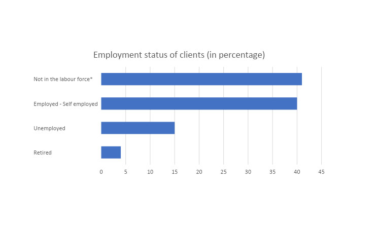 *Not in the labour force means clients not actively looking for work such as stay at home parents.